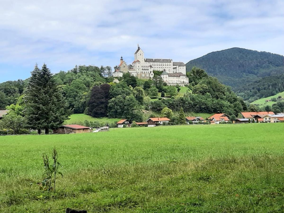 Ferienhaus Kaiserblick - Fewo2 Walchsee Zewnętrze zdjęcie