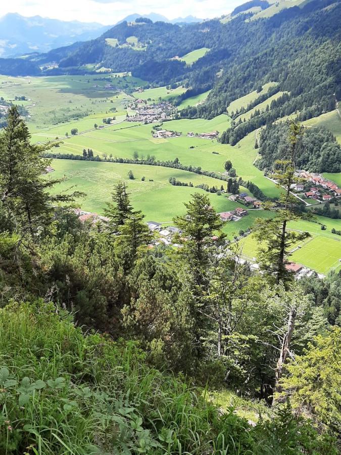 Ferienhaus Kaiserblick - Fewo2 Walchsee Zewnętrze zdjęcie